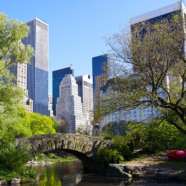 new-york-final